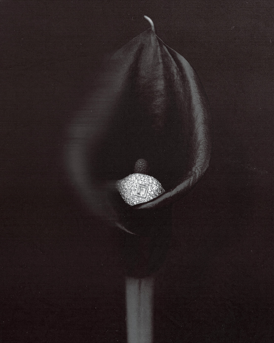 Diamond Baguette Pave Ring